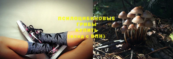трава Гусь-Хрустальный