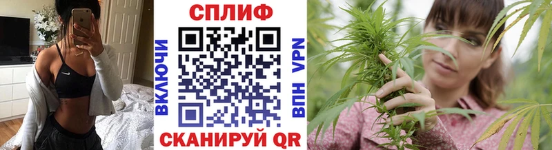 Конопля планчик  Купить где  Опочка 